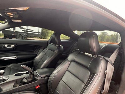 2019 Ford Mustang GT Premium Fastback