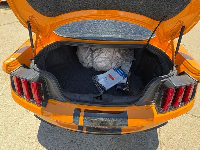 2019 Ford Mustang GT Premium Fastback
