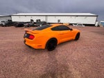 2019 Ford Mustang GT Premium Fastback