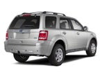 2010 Ford Escape 4WD 4dr Limited