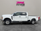 2025 Ford Super Duty F-250 SRW XLT 4WD Crew Cab 6.75' Box