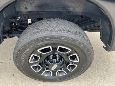 2025 Ford Super Duty F-250 SRW Platinum 4WD Crew Cab 6.75' Box