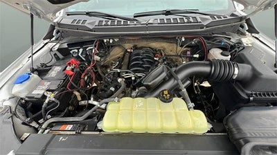 2020 Ford F-150 XL 4WD SuperCrew 5.5' Box