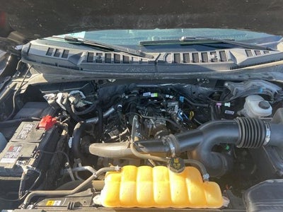 2020 Ford F-150 XL 4WD SuperCrew 5.5' Box