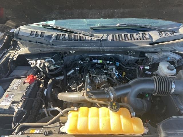 2020 Ford F-150 XL 4WD SuperCrew 5.5' Box