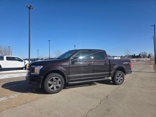 2020 Ford F-150 XLT 4WD SuperCrew 5.5' Box