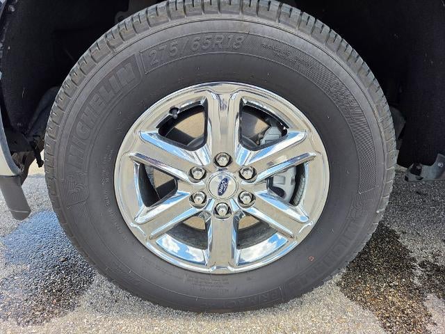 2024 Ford F-150 XLT 4WD SuperCrew 5.5' Box