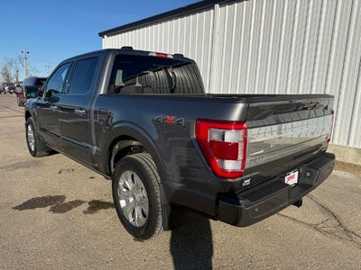 2023 Ford F-150 Platinum 4WD SuperCrew 5.5' Box