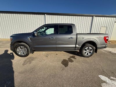 2023 Ford F-150 Platinum 4WD SuperCrew 5.5' Box