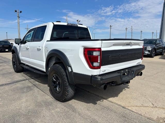 2023 Ford F-150 Raptor 4WD SuperCrew 5.5' Box
