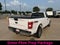 2019 Ford F-150 XLT 4WD Reg Cab 6.5' Box