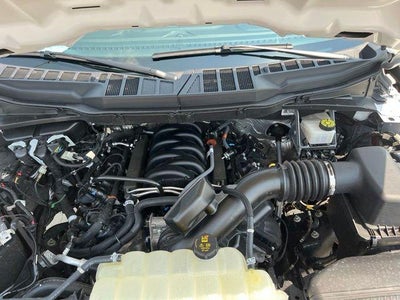 2024 Ford F-150 XL 4WD Reg Cab 6.5' Box