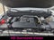 2024 Chevrolet Colorado Crew Cab Short Box 4-Wheel Drive Trail Boss