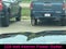 2024 GMC Sierra 1500 Crew Cab Short Box 4-Wheel Drive AT4