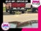 2026 GMC Sierra 1500 Crew Cab Short Box 4-Wheel Drive Denali Ultimate