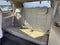 2020 Cadillac Escalade 4WD Luxury