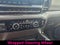 2024 Chevrolet Silverado 1500 Crew Cab Short Box 4-Wheel Drive LT Trail Boss