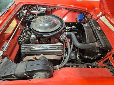 1955 Ford THUN NA
