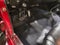 1967 Ford MUST NA